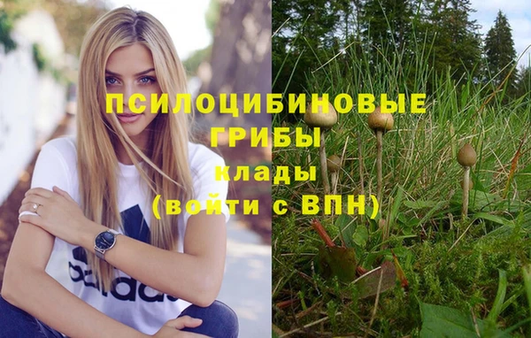 ПСИЛОЦИБИНОВЫЕ ГРИБЫ Алзамай