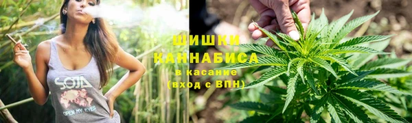 ПСИЛОЦИБИНОВЫЕ ГРИБЫ Алзамай