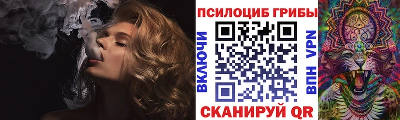 закладка  Кулебаки  Галлюциногенные грибы Magic Shrooms 